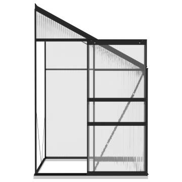 Anthracite Aluminium Greenhouse 2.7 m³ | Hipomarket UK