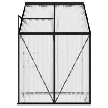 Anthracite Aluminium Greenhouse 2.7 m³ | Hipomarket UK