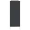 Stylish Black Sideboard - 135x39x103.5 cm Cold-rolled Steel