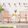 Garden Chairs 2 pcs Solid Wood Douglas - Durable & Stylish