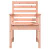 Garden Chairs 2 pcs Solid Wood Douglas - Durable & Stylish