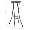 Folding Bar Stools Set of 2 - HDPE & Steel, Rattan Look