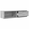 TV Cabinet Grey Sonoma 100x31x25.5 cm | HipoMarket