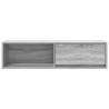 TV Cabinet Grey Sonoma 100x31x25.5 cm | HipoMarket