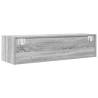 TV Cabinet Grey Sonoma 100x31x25.5 cm | HipoMarket