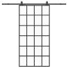 Sliding Door with Black Hardware Set - ESG Glass 102x205 cm