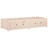 Day Bed Without Mattress 80x200 cm - Solid Pine Wood