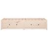 Day Bed Without Mattress 80x200 cm - Solid Pine Wood