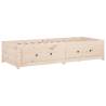 Day Bed without Mattress 75x190 cm - Solid Pine Small Single