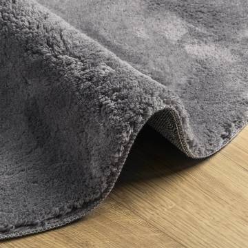 Rug HUARTE: Soft & Washable Anthracite Ø 200 cm