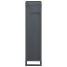 Firewood Rack Anthracite 25x25x100 cm - Sturdy Steel Storage