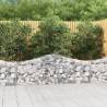  Arched Gabion Baskets 30 pcs 200x30x6080 cm Galvanised Iron Size 200 x 30 x 60/80 cm Quantity in Package 30 