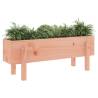 Garden Raised Bed 101x30x38 cm - Solid Douglas Wood