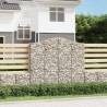  Arched Gabion Baskets 20 pcs 200x30x180200 cm Galvanised Iron Size 200 x 30 x 180/200 cm Quantity in Package 20 