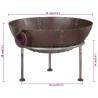 Fire Pit 55x55x38 cm Iron - Warmth for Your Garden