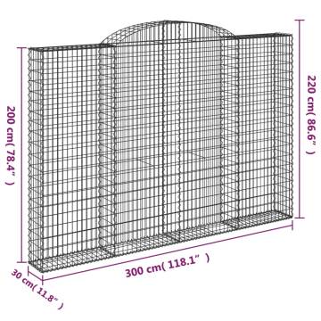 Arched Gabion Baskets - 11 pcs Galvanised Iron 300x30x200220 cm