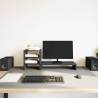 Monitor Stand with Desk Organiser - Black Oak Engineered Wood