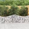  Arched Gabion Baskets 50 pcs 200x30x6080 cm Galvanised Iron Size 200 x 30 x 60/80 cm Quantity in Package 50 