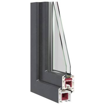 Basement Window RISOR 110x60 cm Tilt&Turn DIN Right Anthracite