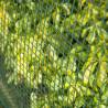 Nature Garden Screen Square Mesh 20x20 mm 1x3 m Green