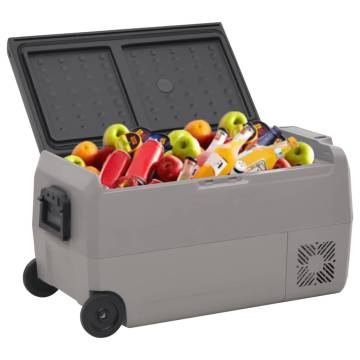 Portable Cool Box with Wheels & Handle - 60L Black & Grey