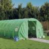 Greenhouse with Steel Frame Green 30 m² 10x3x2 m Colour green Size 10 x 3 x 2 m Quantity in Package 1 