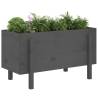 Garden Raised Bed Grey 101x50x57 cm - Solid Pine Wood