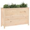 Garden Raised Bed 119.5x40x78 cm - Solid Pine Wood