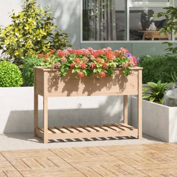 Solid Wood Pine Planter with Shelf – 111.5x54x81 cm