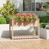 Planter with Shelf 111.5x54x81 cm Solid Wood Pine Colour natural Size 111.5 x 54 x 81 cm Quantity in Package 1 