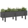 Garden Raised Bed Grey 121x30x38 cm Solid Wood Pine