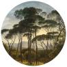 WallArt Wallpaper Circle: Umbrella Pines in Italy - 142.5 cm