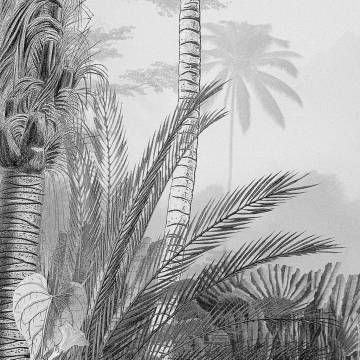 Komar Photo Mural Lac Tropical Black & White - 200x270 cm