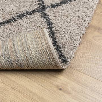 Shaggy Rug High Pile Beige & Anthracite 140x200 cm - Hipo Market