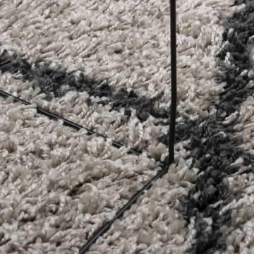 Shaggy Rug High Pile Beige & Anthracite 140x200 cm - Hipo Market