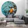 Nemo the Anemonefish WallArt Wallpaper Circle - 142.5 cm