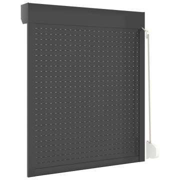 Roller Shutter Aluminium 100x130 cm Anthracite | Hipo Market