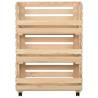 Vegetable Trolley - Rustic Solid Pinewood Storage | HipoMarket