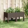 Garden Planter with Legs Brown 80x40x42 cm PP Colour brown Size 80 x 40 x 42 cm Quantity in Package 1 