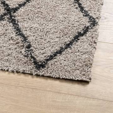 Shaggy Rug High Pile Beige & Anthracite 60x110 cm | Hipomarket