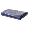 Tarpaulin 650 g/m² 4x6 m Blue Colour blue Size 4 x 6 m Quantity in Package 1 Model with eyelets 