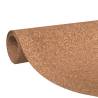 Cork Roll 100x200 cm - Durable Insulation & Sound Dampening