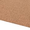 Cork Roll 100x200 cm - Durable Insulation & Sound Dampening