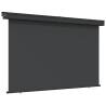 Balcony Side Awning 175x250 cm Black - Privacy & Style