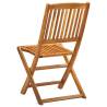 Folding Outdoor Chairs 2 pcs - Solid Acacia Wood | Hipomarket