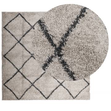 Shaggy Rug PAMPLONA High Pile Beige and Anthracite 240x240 cm