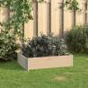 Raised Bed 60x80 cm Solid Pine Wood (310048) Size 60 x 80 cm Quantity in Package 1 