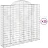 Buy Arched Gabion Baskets - 25 pcs Galvanised Iron 200x50x180 cm