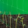 Nature Plant Climbing Netting Green 2x5 m - Support Your Plants