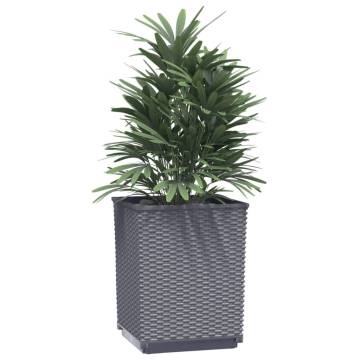 Durable Dark Grey Planters - 4 pcs 30x30x37 cm | HipoMarket